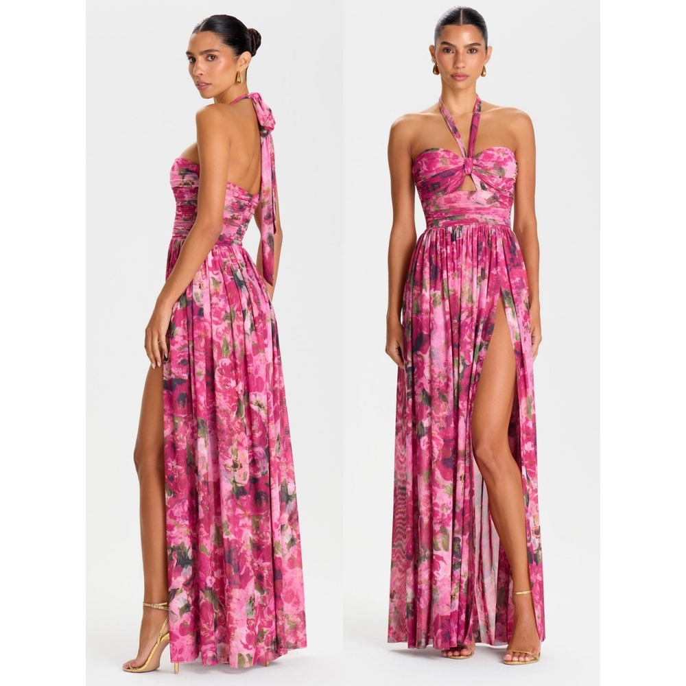 NWT Nadine Merabi Aria Floral Halter Maxi Dress $545 - Size US 6
